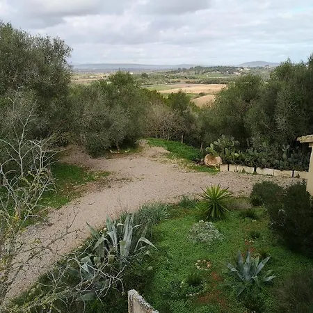 Сasa de vacaciones Son Vell. Mallorca. Casa Amb Piscina Ecologica. Manacor (Mallorca)